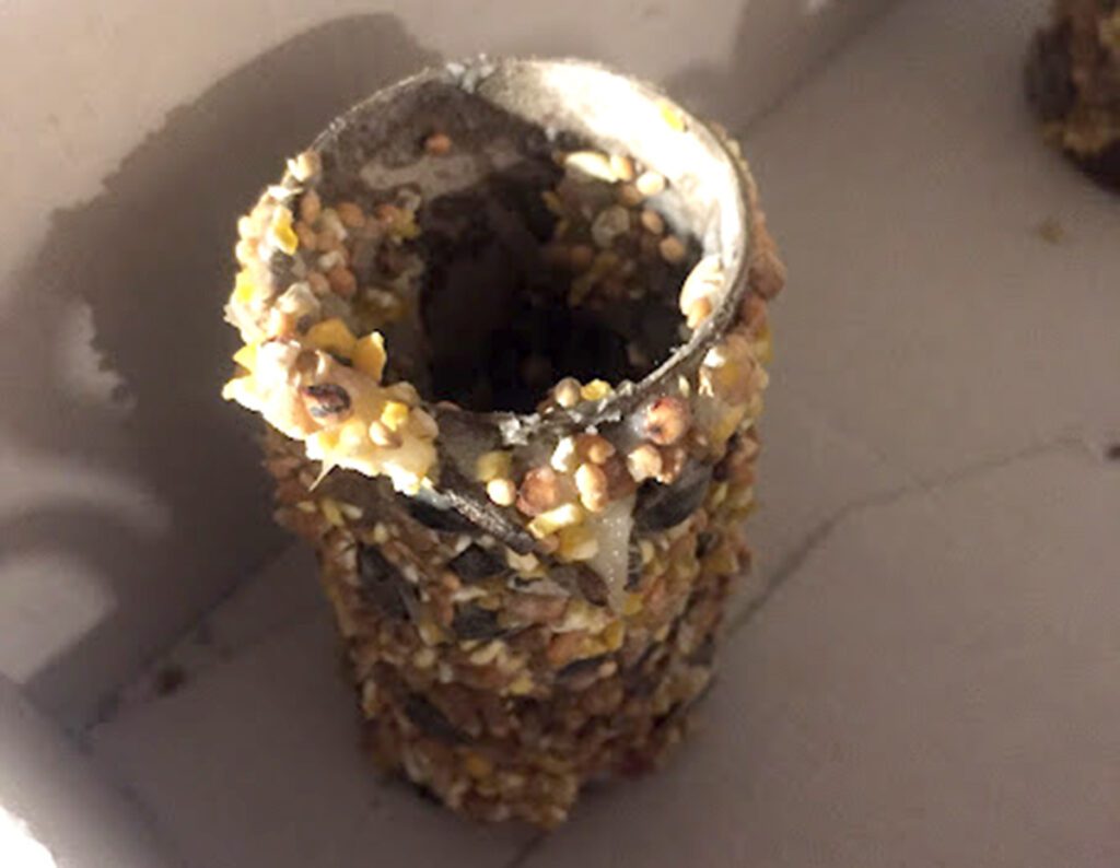 Hranilica za ptice od recikliranih materijala - izvrsna zimska zabava za djecu