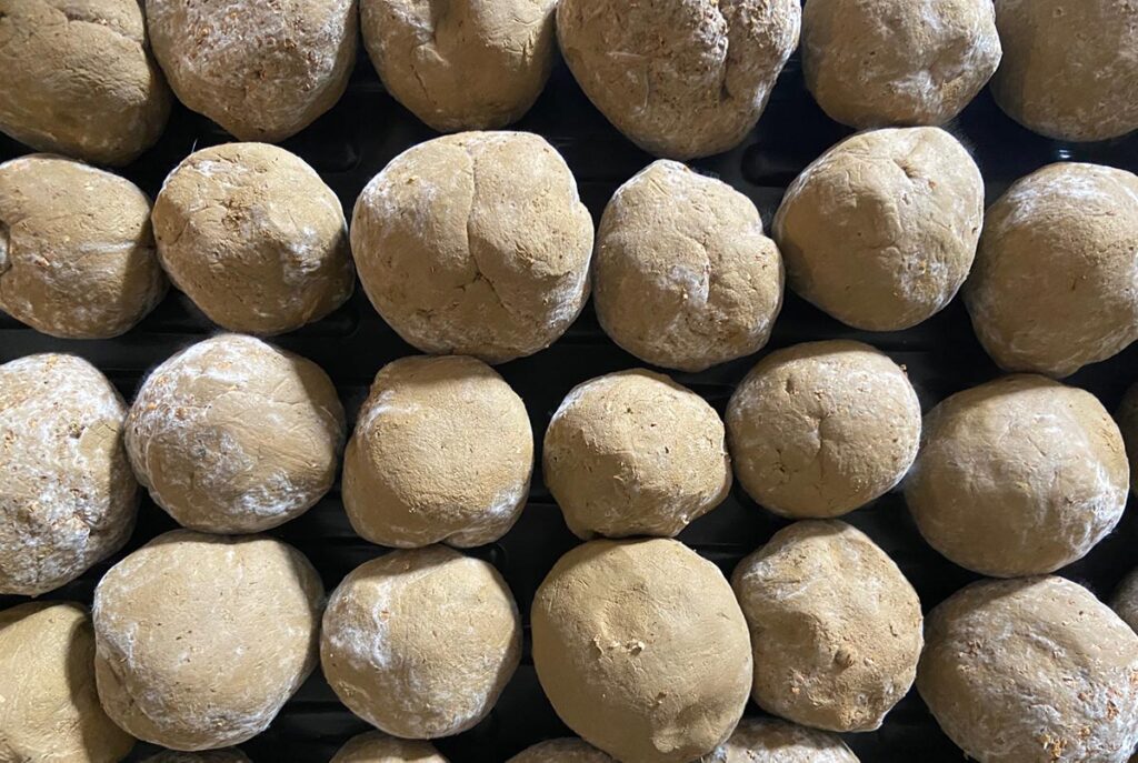 Održivost - sinergija efektivnih mikroorganizama