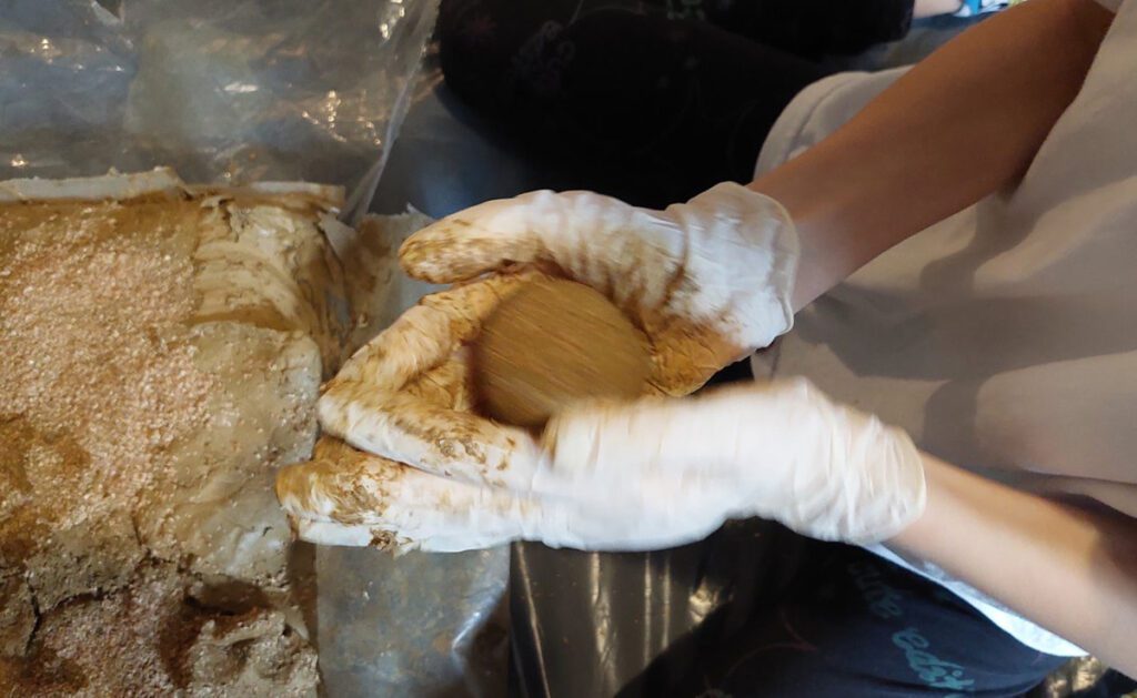 Održivost - sinergija efektivnih mikroorganizama