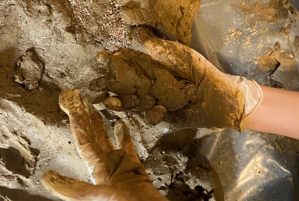 Održivost - sinergija efektivnih mikroorganizama