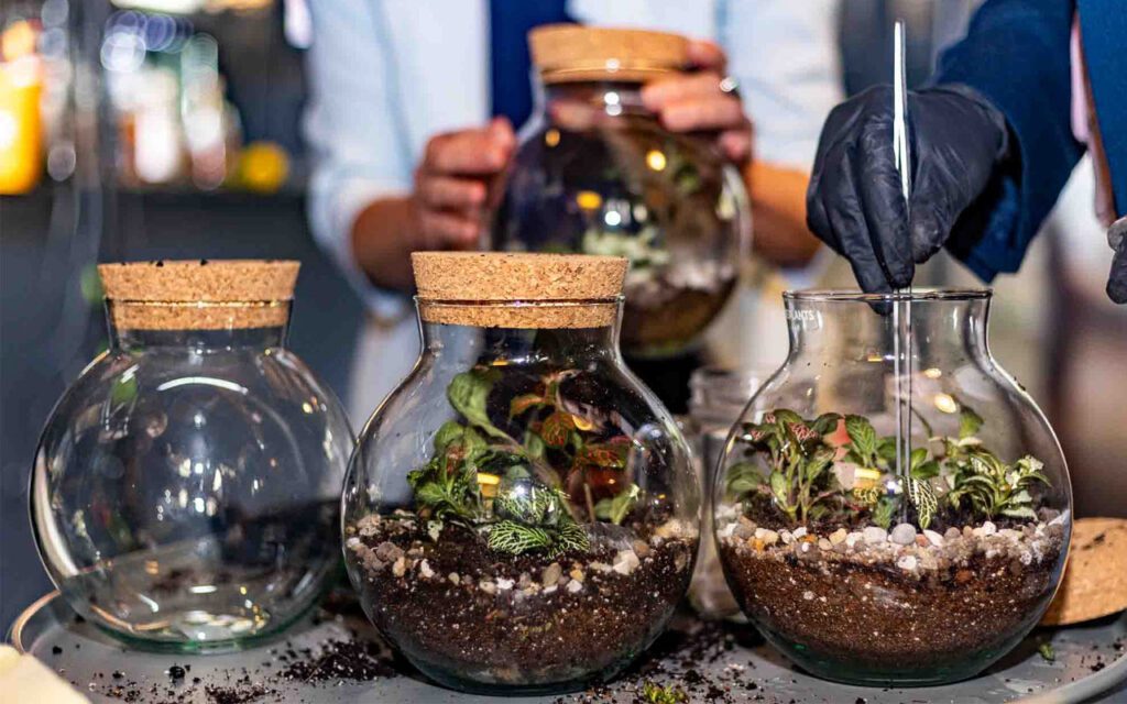 Europska kampanja #PlantHealth4Life brine za održavanje zdravlja bilja