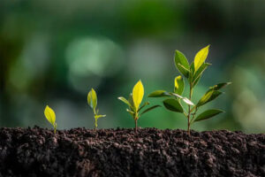 #PlantHealth4Life kampanja – zaštitimo biljke