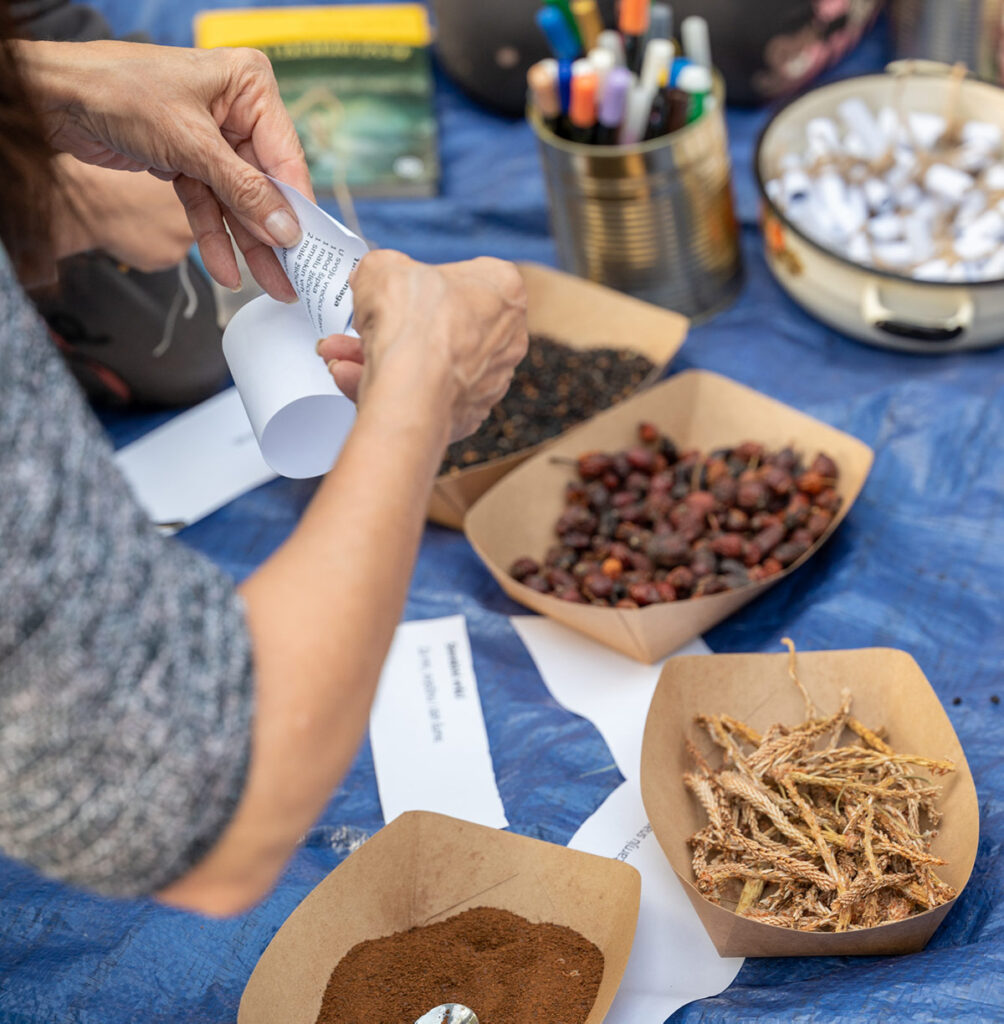 Kreativne radionice Čitaj i sadi – najava novog ciklusa