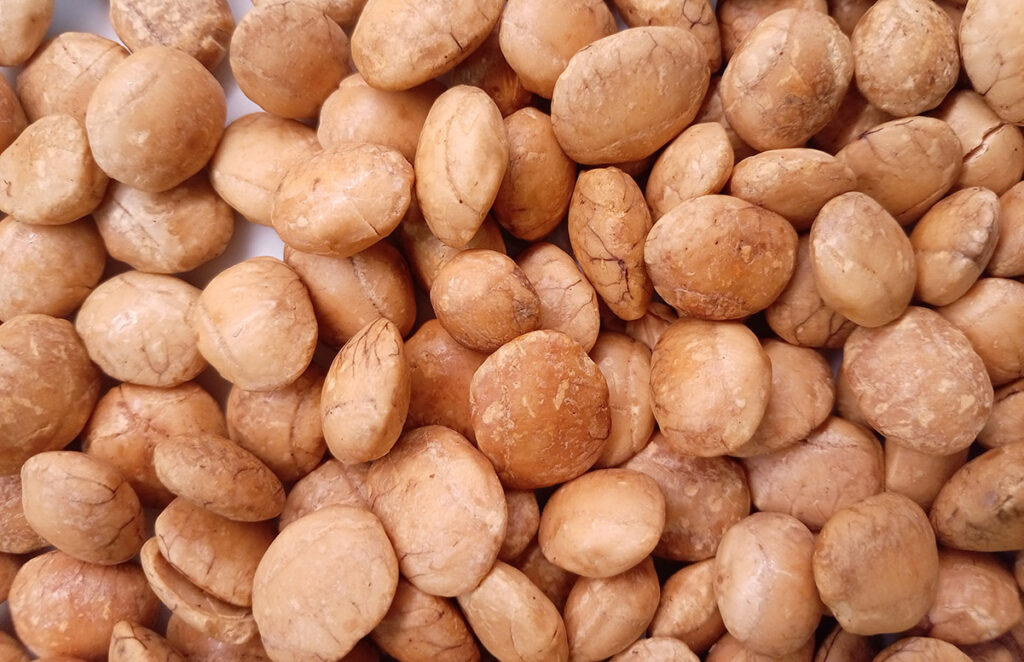 Naslovna 1 Sacha inchi – tostirani oraščić iz Amazone koji obara rekorde u omega-3